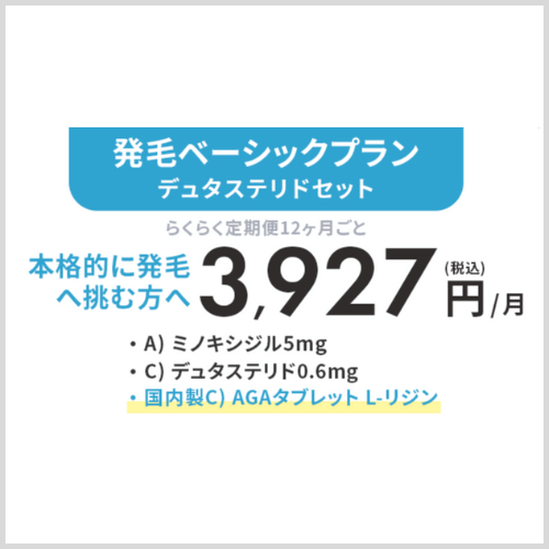発毛ベーシックプラン・デュタステリドセット
