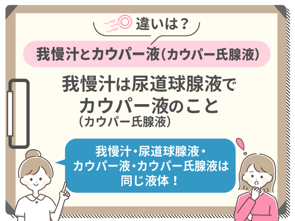 我慢汁とカウパー液（カウパー氏腺液）の違い