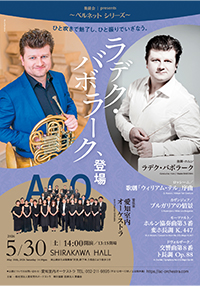 ラデク・バボラーク、登場