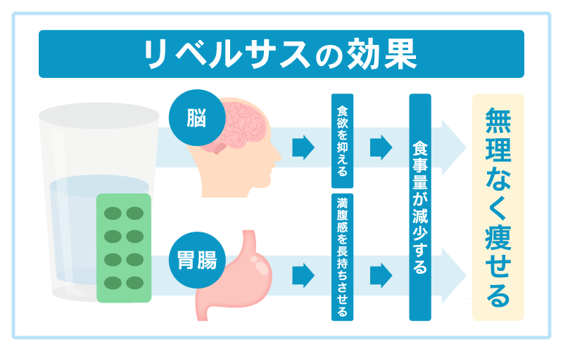 リベルサス 効果